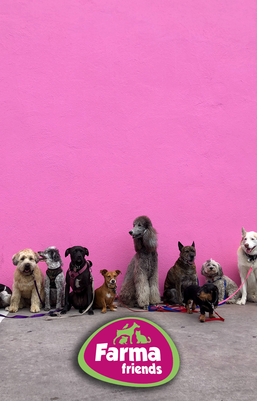 bepartner farmafriends