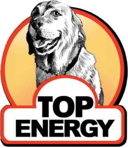 ENERGY.COM