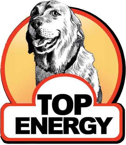 ENERGY.COM