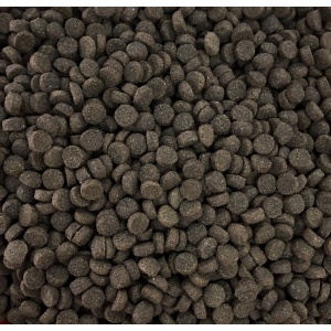 toby_high_energy_kroketa_energeias