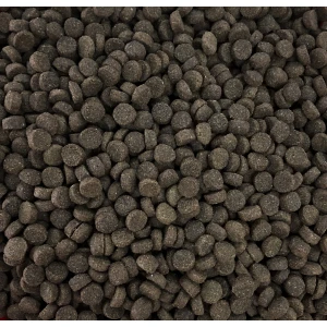 toby_high_energy_kroketa_energeias