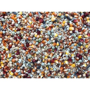 Αγώνων special Farma Friends