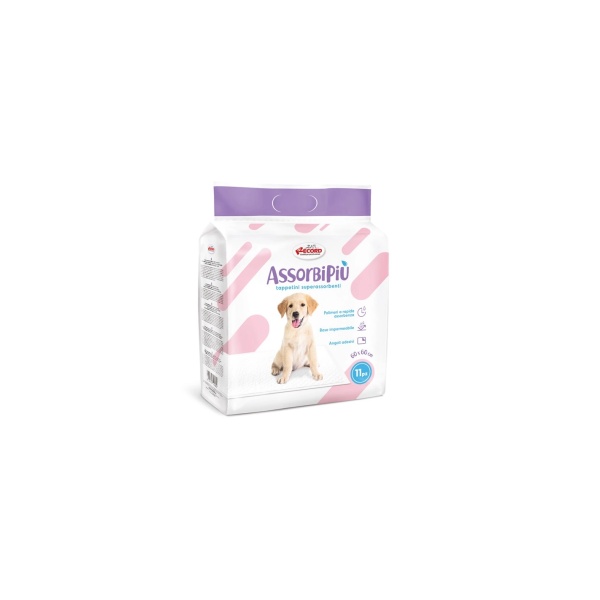 record-puppy-vrakakia-pads-panes-gia-skylous-koutavia-epidapedies