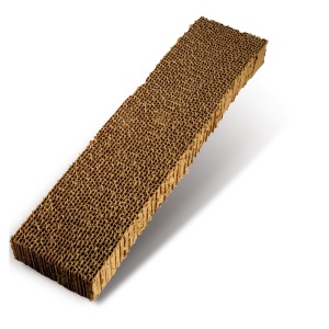 6156 Ονυχοδρόμιο χαρτόνι.