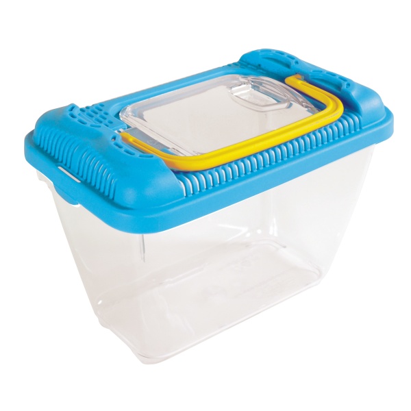 enydreio-aquarium-fish-plastico-plastic-blueaquarium-mpleenydreio