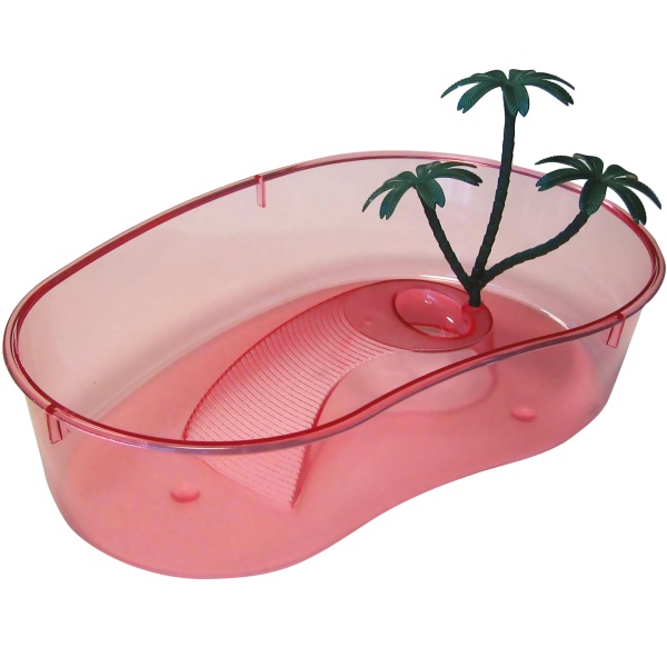 xeloniera-enudrio-xelwna-turtle-xelvnakia