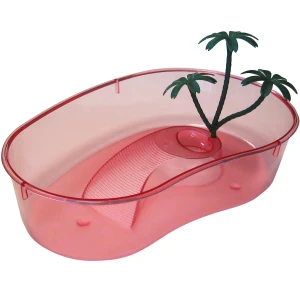 xeloniera-enudrio-xelwna-turtle-xelvnakia