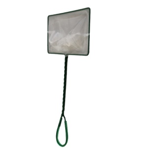 apoxh_enydreio_psaria