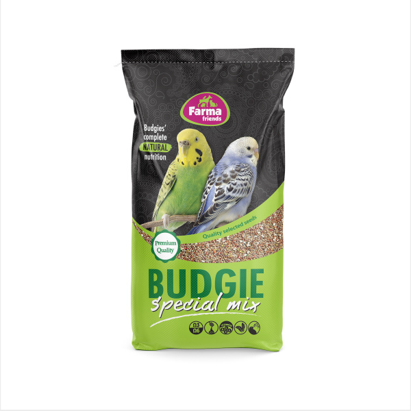 BUDGIE