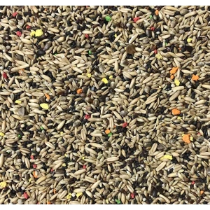 canary-special-mix-1kg-food-for-canaries-kelaidini-farmafriends-farma