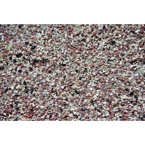 koxuli-psilo-gia-kanarinia-peristeria-ZEEVITA