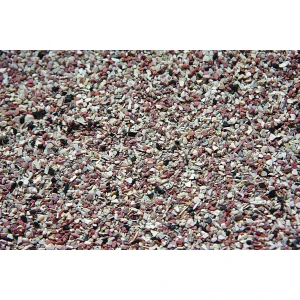 koxuli-psilo-gia-kanarinia-peristeria-ZEEVITA