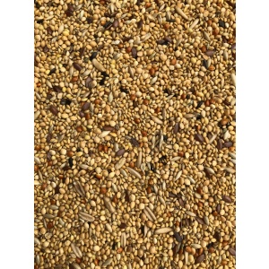 trofi-gia-paradeisia-exotica-poulia-exotic-specialmix-farmafriends-birds-ptina