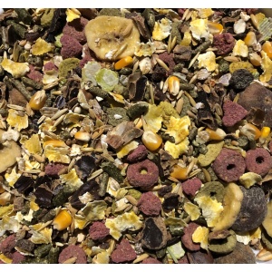 trofi-gia-kounelia-indika-xoiridia