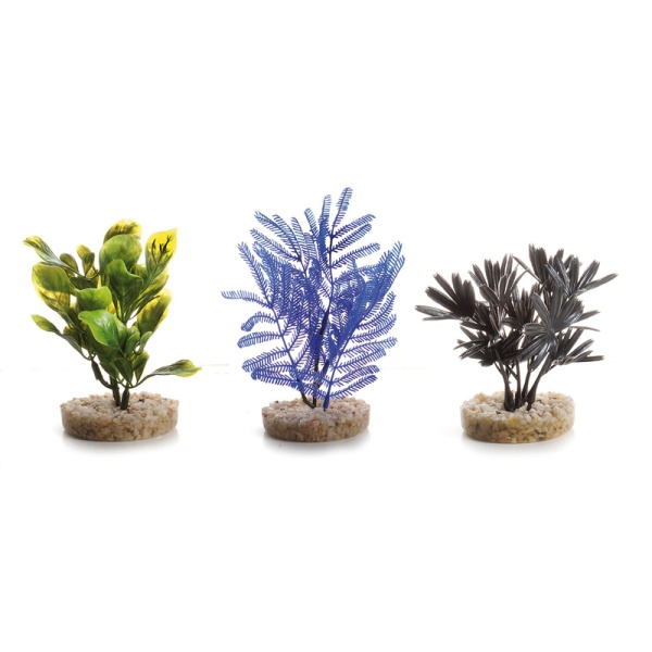 plastiko_futo_enudriou