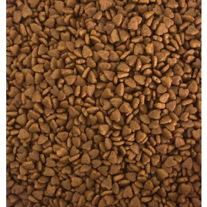 HOW MEOW CAT CHICKEN