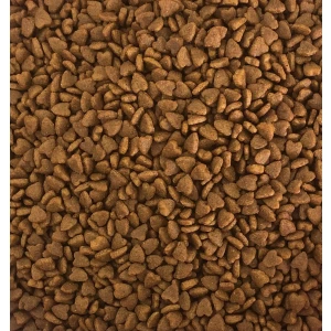 HOW MEOW CAT CHICKEN