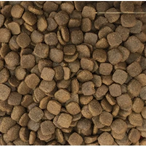 klicker_adult_dog_lamb