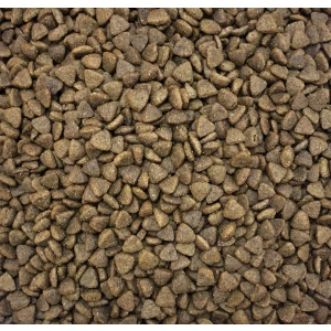 klicker_adult_mini_dog_salmon