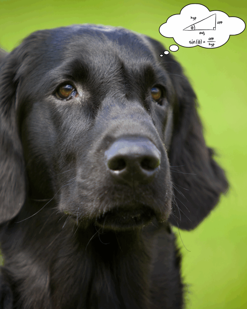 eksupnes_ratses_skulwn