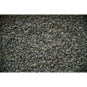 FARMA CAT BROWN FISH