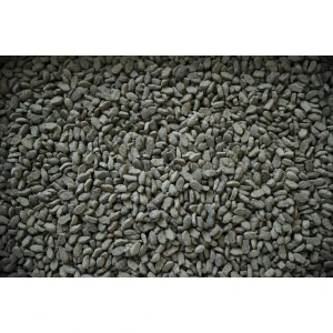 FARMA CAT BROWN FISH